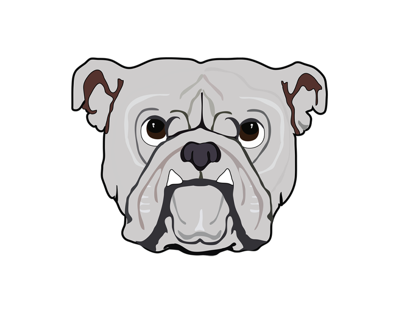 Bulldog bar in Charlotte branding