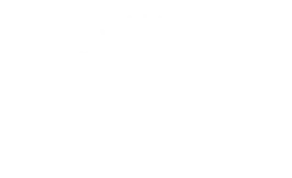 Pedal Pub Miami branding