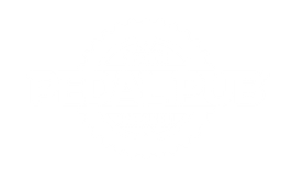 Pedal Pub Saskatoon branding