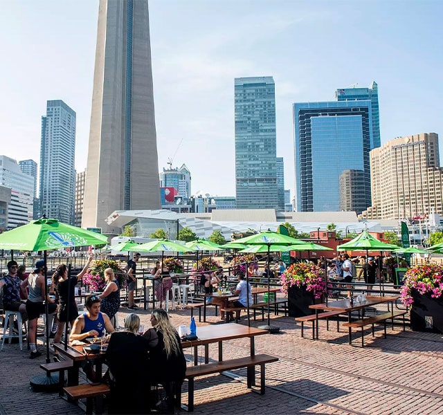 steam whistle beer patio